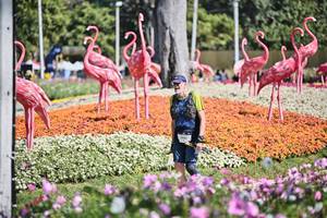 BIB: 
                            <button type="button" onclick="openModal(27793822)" class="btn btn-primary btn-sm float-right btn-popup" data-toggle="modal" data-target=".modal-high-quality">
                        <i class="fas fa-shopping-cart"></i> Add to Cart
                    </button>
                                            <button type="button" onclick="isThisMe(27793822, true)" class="btn btn-success btn-sm float-right btn-popup btn-isme hidden" data-toggle="tooltip" data-placement="bottom" title="นี่คือรูปของคุณใช่ไหม คลิกที่นี่เพื่อเอาเข้าอัลบั้ม">
                        <i class="fas fa-plus"></i> Add to album
                    </button>
                    <button type="button" onclick="isThisMe(27793822, false)" class="btn btn-warning btn-sm float-right btn-popup btn-isnotme hidden">
                        <i class="fas fa-ban"></i> Remove from album
                    </button>